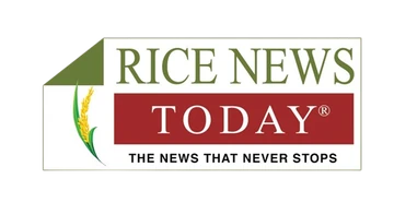 Rice News Today